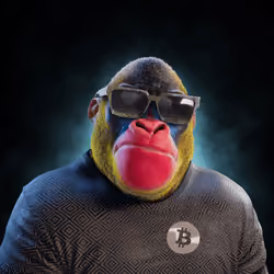 3497