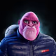 2617