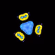 731