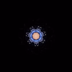 320
