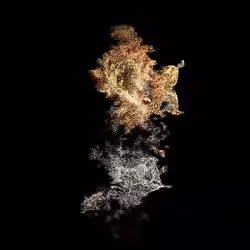 710