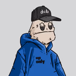dob #589