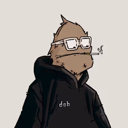 dob #2468