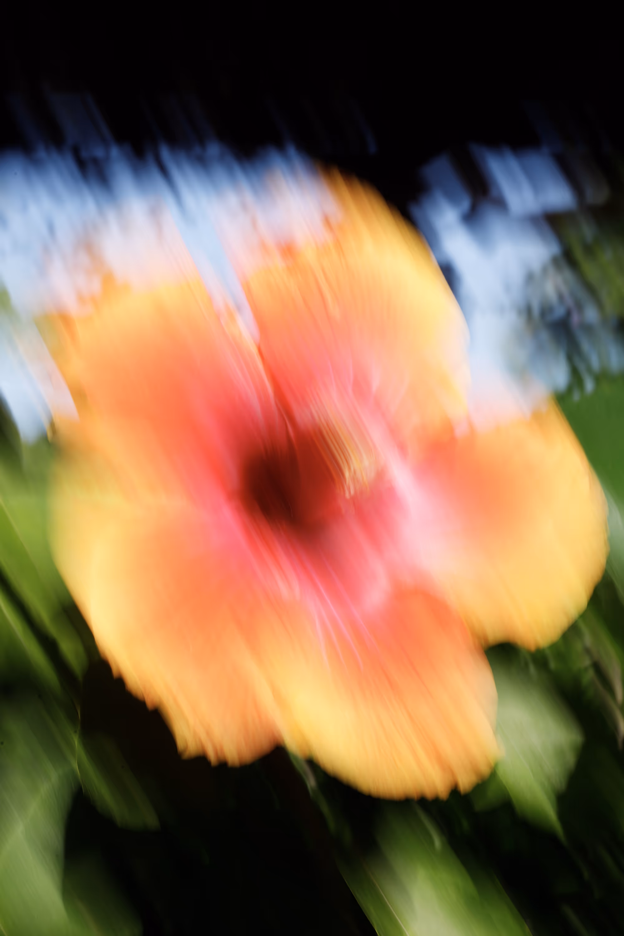 Bloom from Whistle of Lights