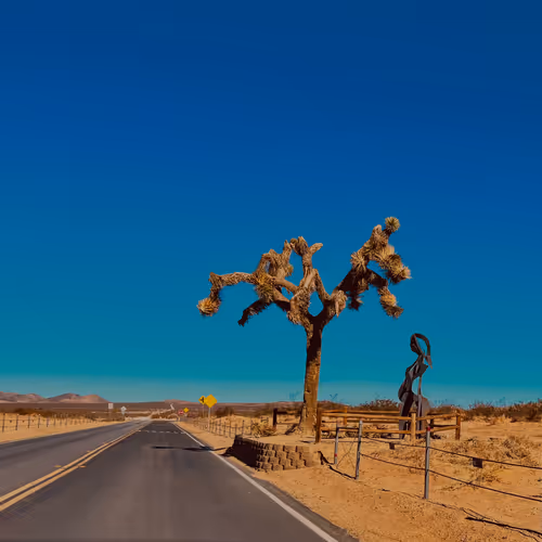 Road Trip Dreamscape