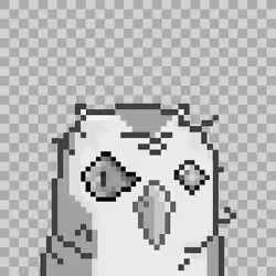 Unordinal Bird #971