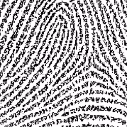 92