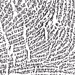 493