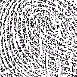 484