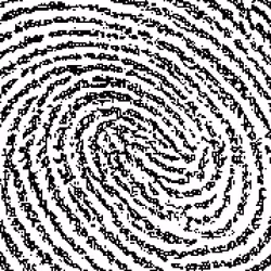 181