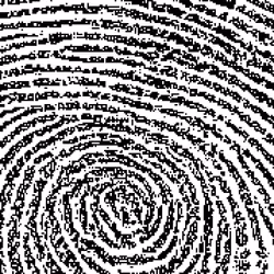 445