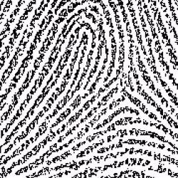 121