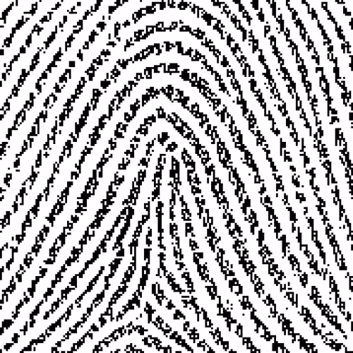 Markbyfigure31