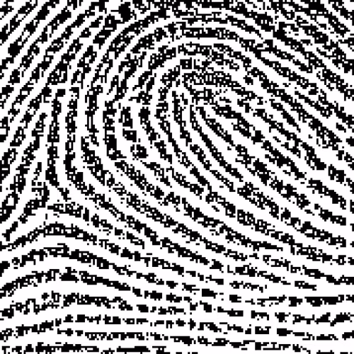Markbyfigure31
