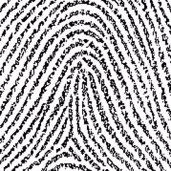 464