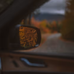 98
