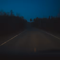 36