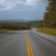 74