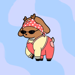 507