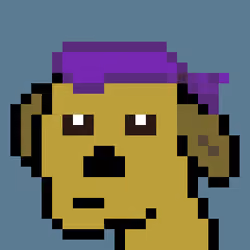 Doobit #9950