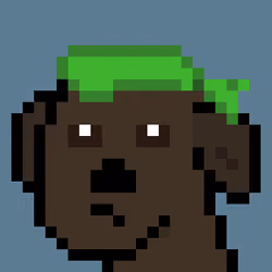 Doobit #4848