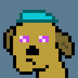 Doobit #6982