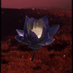 Lotus 1786