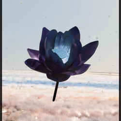 Lotus 2010
