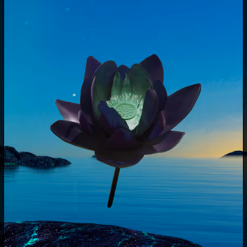 Ascended Lotus