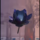 1270