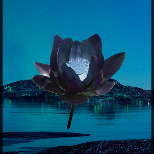 Ascended Lotus