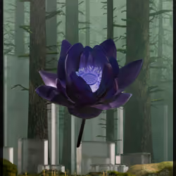 Lotus 1293