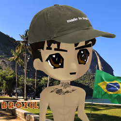 radbro brazil #842