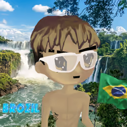 radbro brazil #585