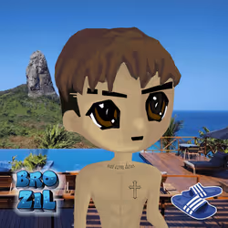 radbro brazil #243