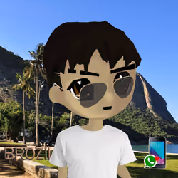 radbro brazil #627