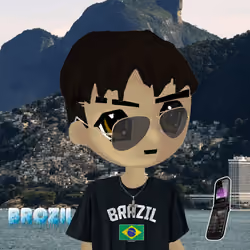 radbro brazil #843