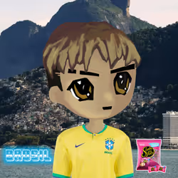 radbro brazil #593