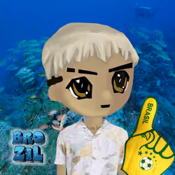 radbro brazil #312