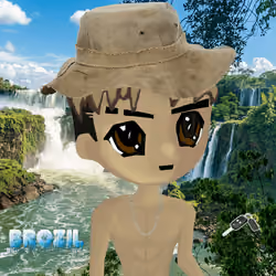radbro brazil #973