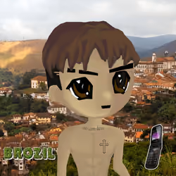 radbro brazil #47