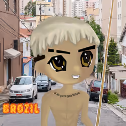 radbro brazil #311