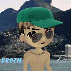 radbro brazil #48