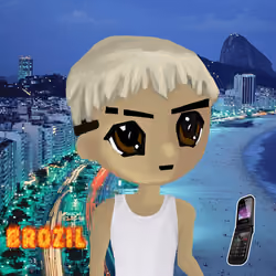 radbro brazil #499