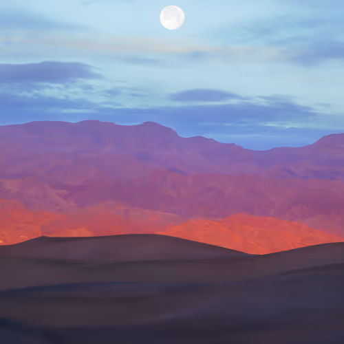 Escapism Editions