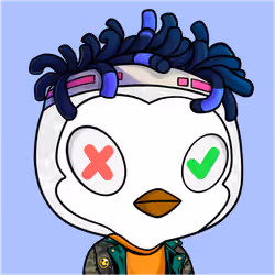 DGP #899