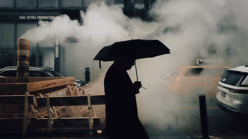 Item #1705717626686 Media