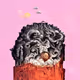 5382