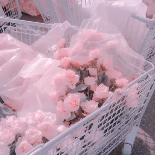 Aesthetic randomness