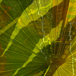 Palmesian